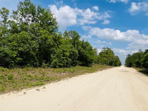 0000 NE 132 TERRACE TERRACE WILLISTON FL 32696