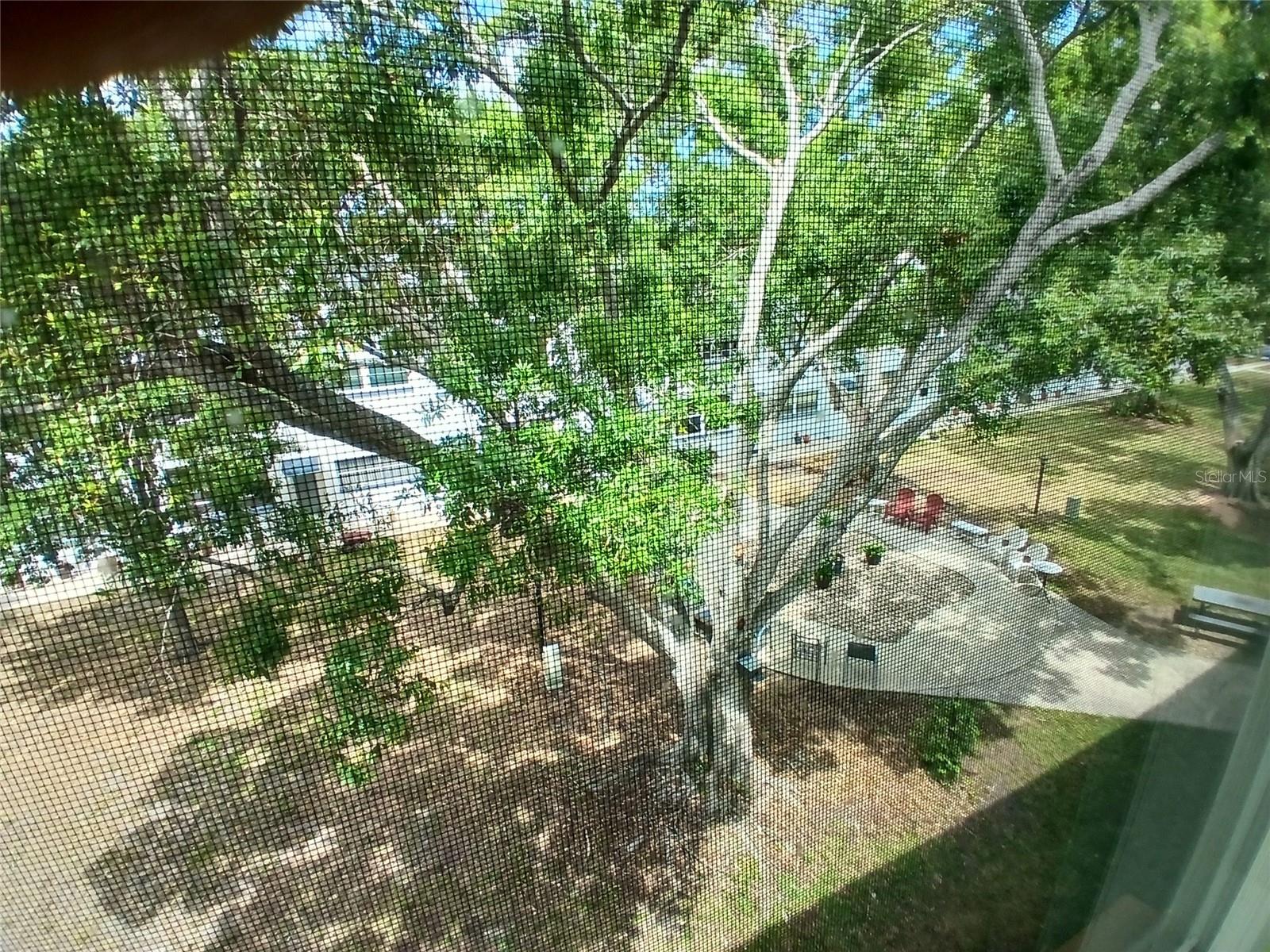 PARKWOOD CONDO - Residential