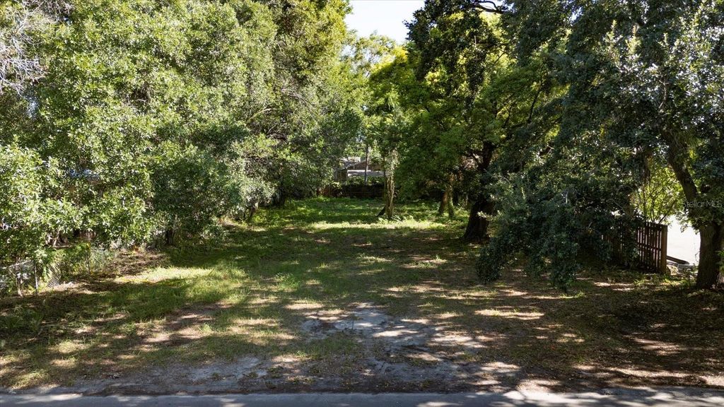 Photo of 812 E Emma Street, Tampa, FL 33603 (MLS # TB8418296)