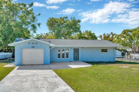 7323 ANDRE DRIVE ZEPHYRHILLS FL 33541