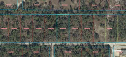 Photo of Tbd SE 100th Place, Dunnellon, FL 34431 (MLS # OM729656)