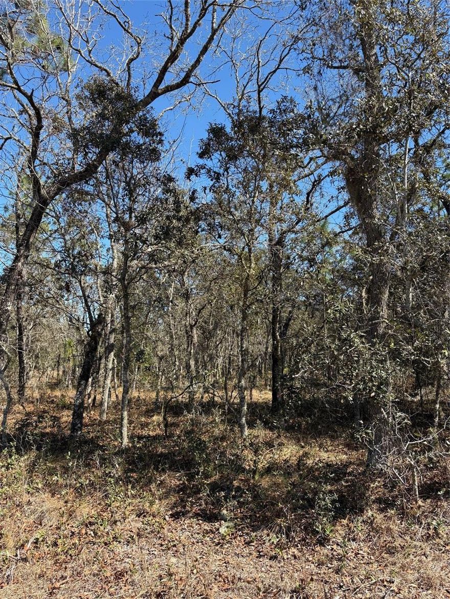 Looking for a quiet peaceful place to build your next home or invest for your future....check this property out.