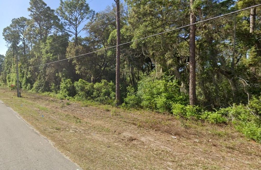 Photo of SE 17th Lane, Ocklawaha, FL 32179 (MLS # O6363371)