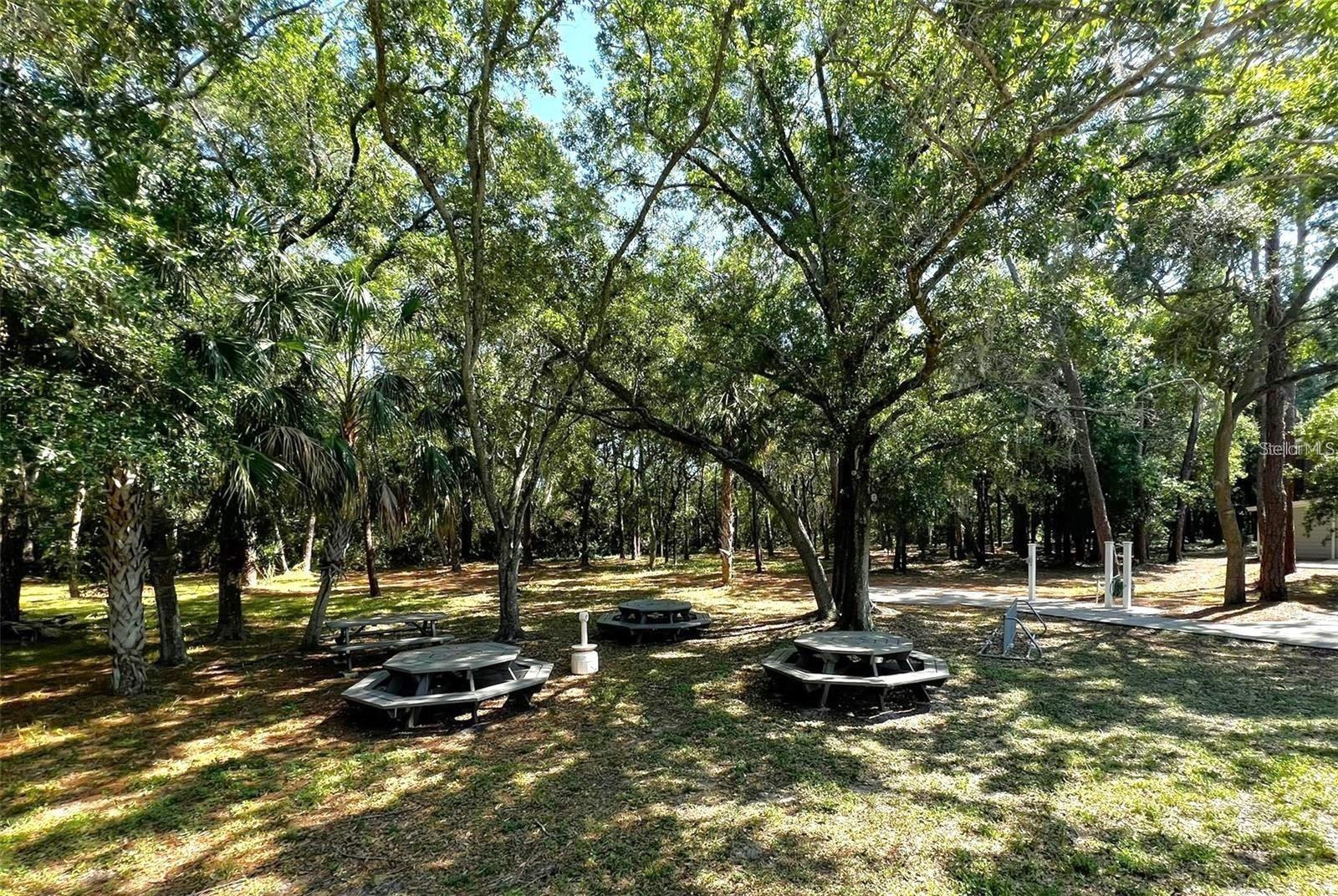 WINDJAMMER CONDO - Residential Lease