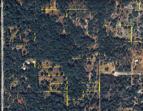 Tiny photo for 120 NE Sr24 Avenue NE, Archer, FL 32618 (MLS # S5148578)