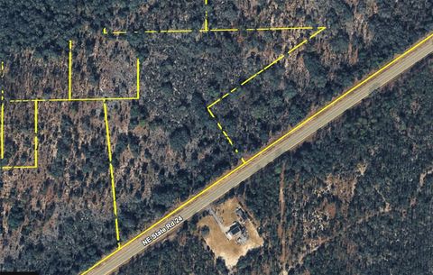 Tiny photo for 120 NE Sr24 Avenue NE, Archer, FL 32618 (MLS # S5148578)
