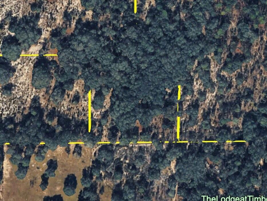 120 NE SR24 AVENUE NE