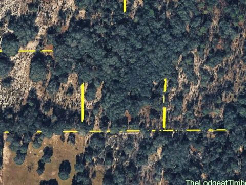 Tiny photo for 120 NE Sr24 Avenue NE, Archer, FL 32618 (MLS # S5148578)