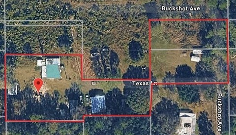 Photo of 574 Thistle Hill Drive, Osteen, FL 32764 (MLS # O6409998)