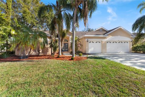 A home in PALM HARBOR