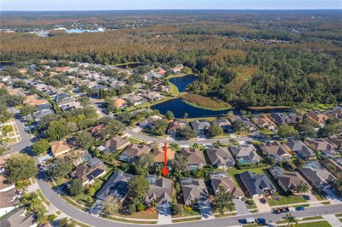 A home in PALM HARBOR