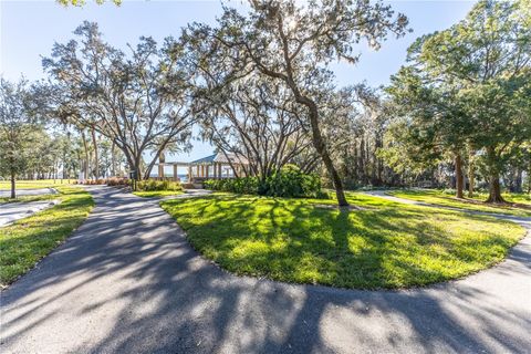 A home in PALM HARBOR