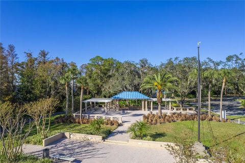 A home in PALM HARBOR