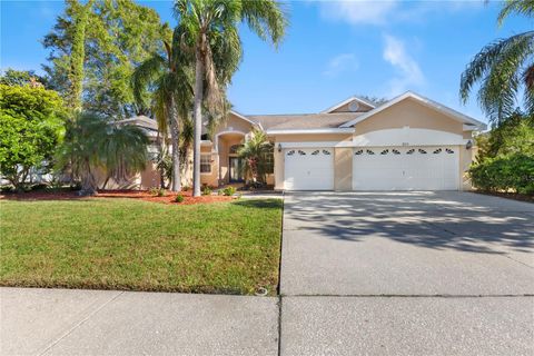 A home in PALM HARBOR