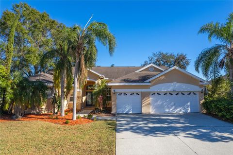 A home in PALM HARBOR