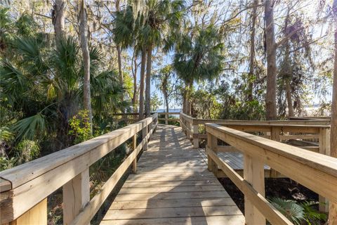 A home in PALM HARBOR