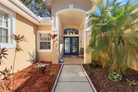 A home in PALM HARBOR