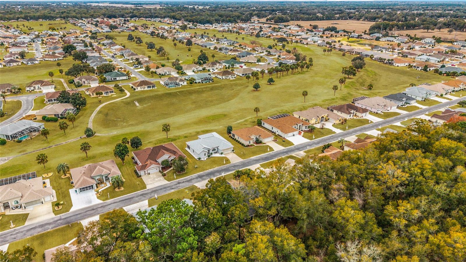 OCALA PALMS - Residential