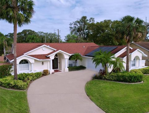 A home in PALM HARBOR