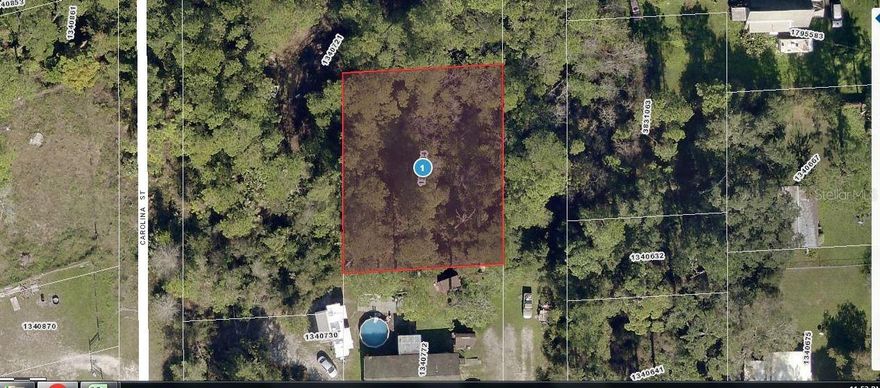 Discover this 0.29-acre vacant residential lot on Maryland Street in Paisley, Florida (32767), offering a great opportunity to build a custom home or invest in a growing community. Situated in a peaceful neighborhood, this parcel provides ample space for a comfortable residence, yard, and outdoor living areas while remaining easy to maintain. With convenient access to local amenities, schools, and the natural attractions of the surrounding area, this lot blends tranquility with everyday convenience. A versatile and well-located property, it’s an excellent choice for homebuyers or investors looking for value in Central Florida.