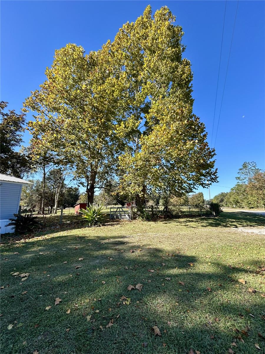 TIMUQUA SUB - Residential