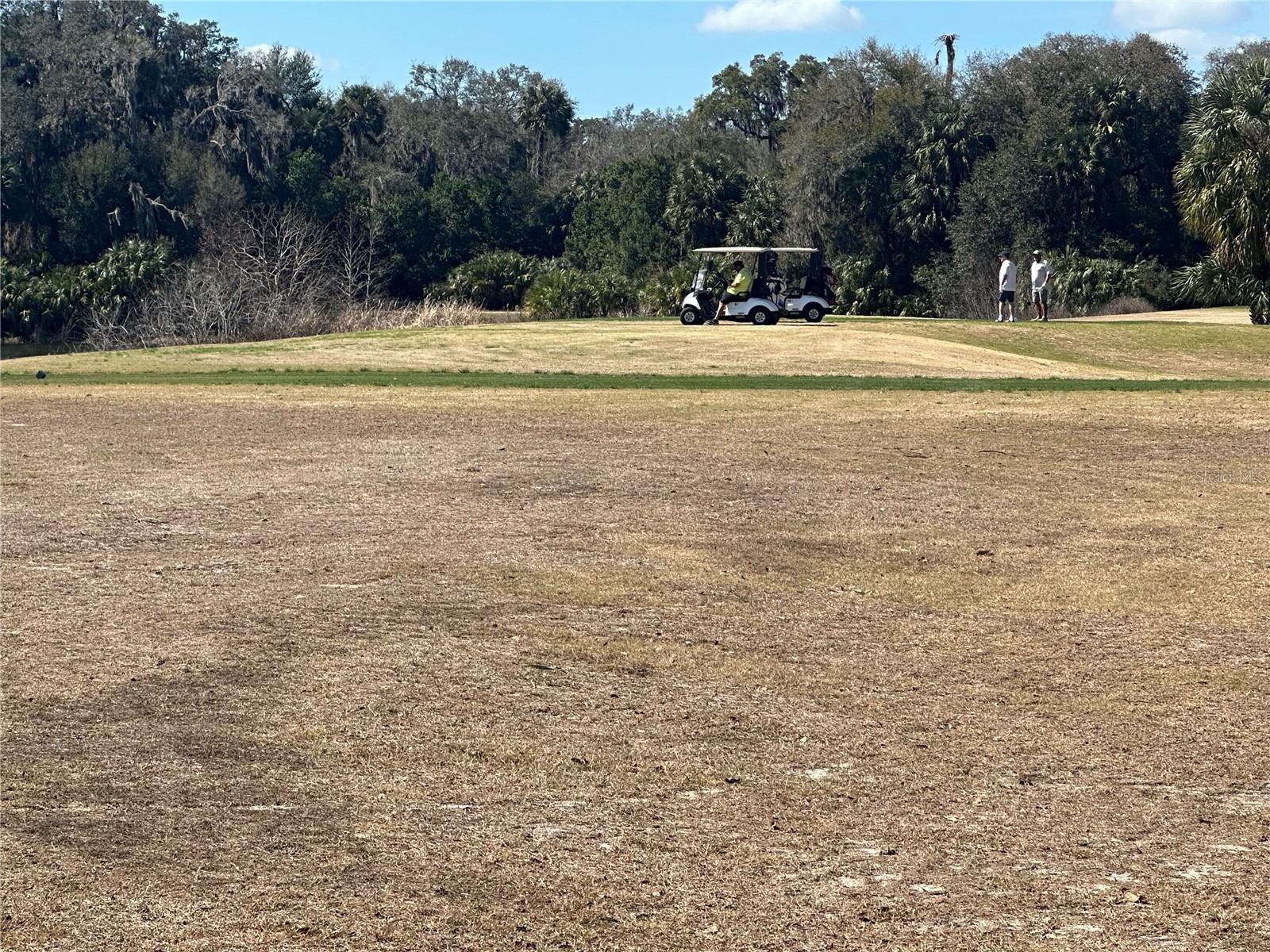 FAIRWAYS/SILVER SPGS SHORES CO - Residential