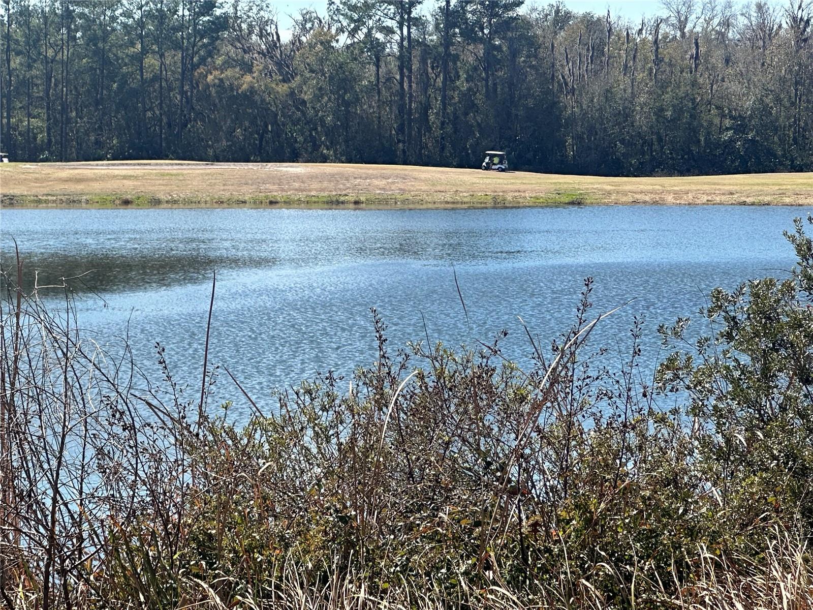 FAIRWAYS/SILVER SPGS SHORES CO - Residential