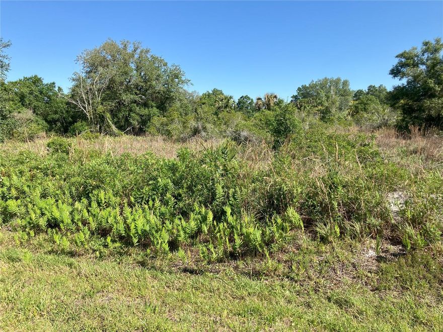 Beautiful lot for sale in the  of the city of Okeechobee. Zone for Residential acreage, you can build the home of your dreams.