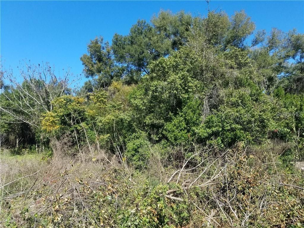 Photo of 5 Lenox Court, Deland, FL 32720 (MLS # O5920871)