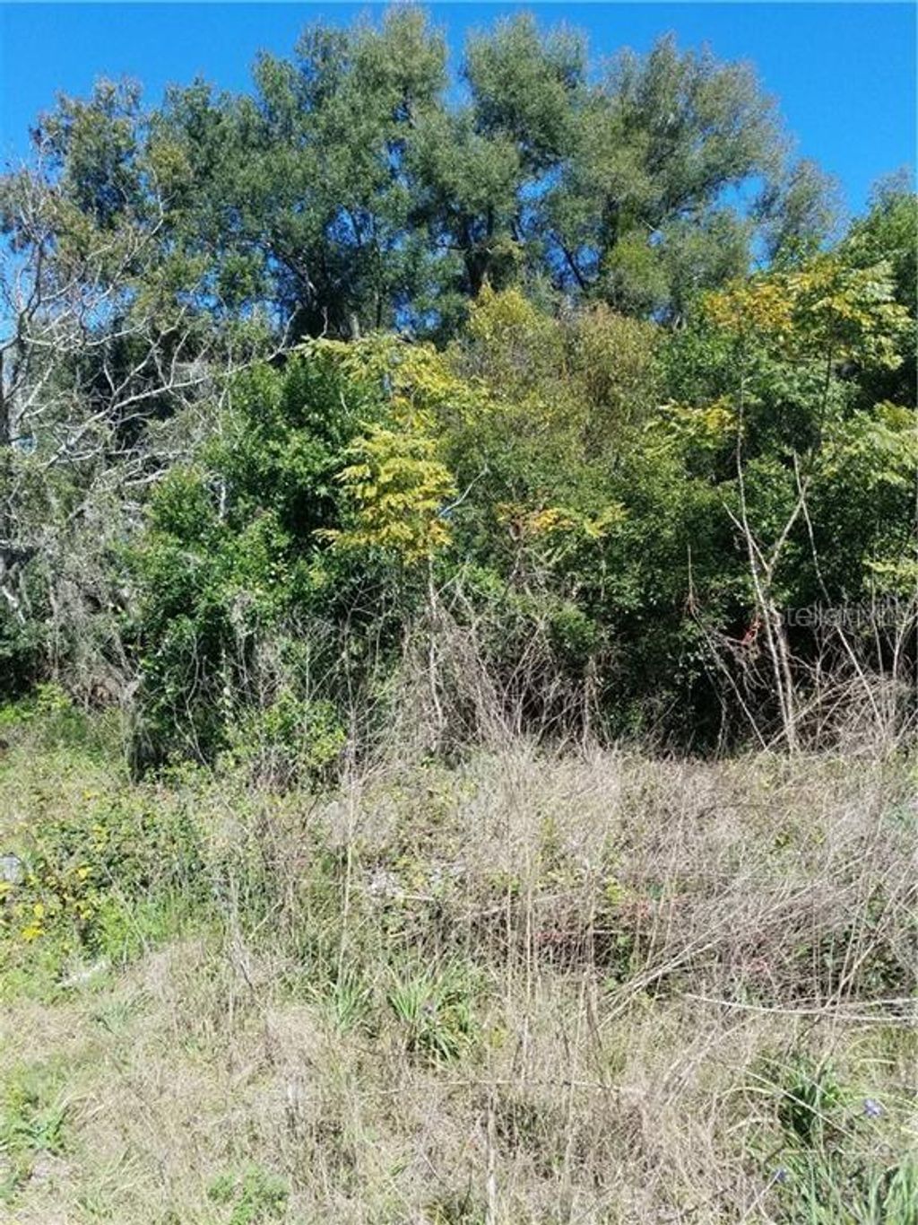 Photo of 5 Lenox Court, Deland, FL 32720 (MLS # O5920871)