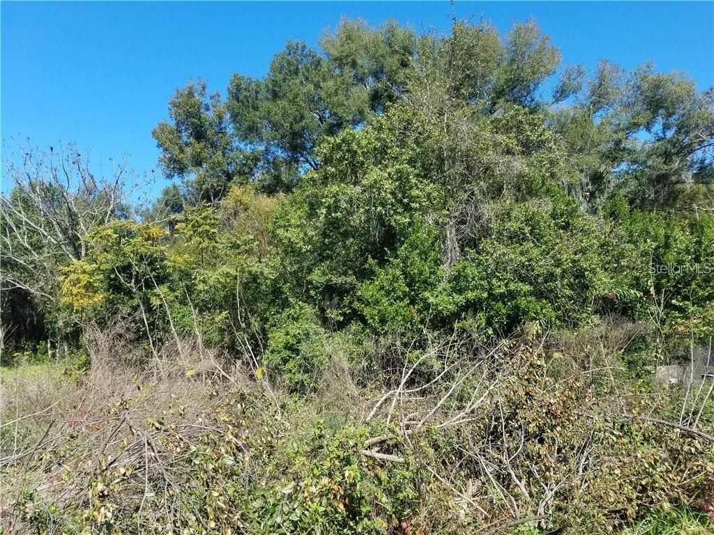 Photo of 5 Lenox Court, Deland, FL 32720 (MLS # O5920871)