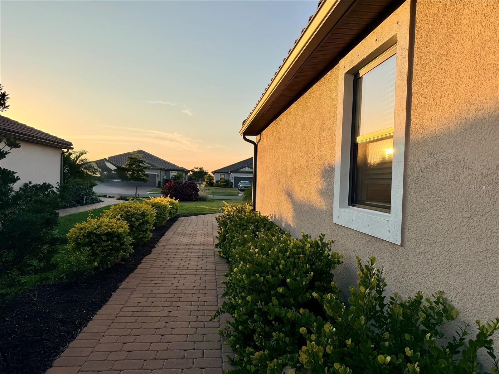 AZARIO ESPLANADE - Residential