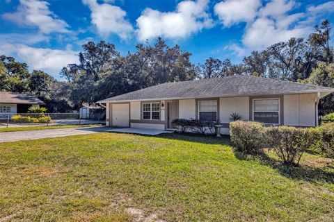 Photo of 1134 E 10th Avenue, Mount Dora, FL 32757 (MLS # V4946052)