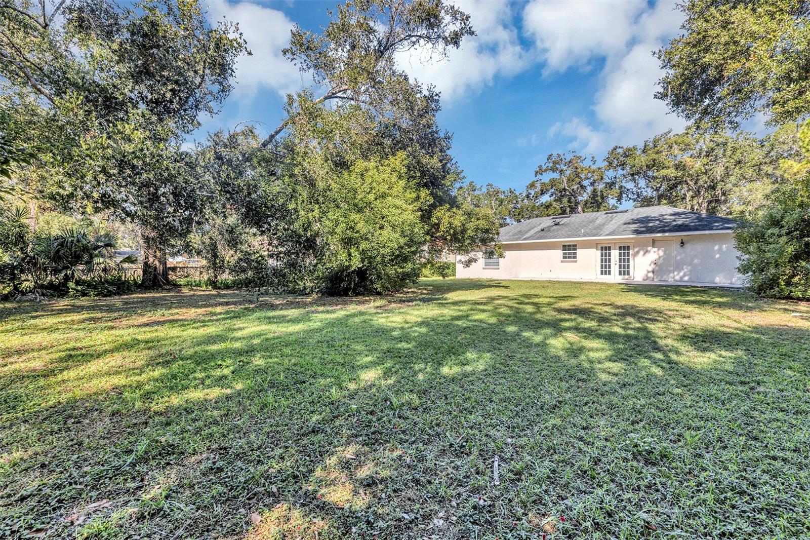 MOUNT DORA - Residential