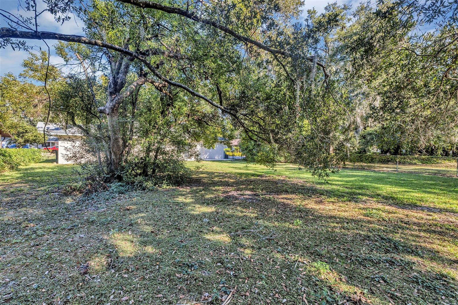 MOUNT DORA - Residential