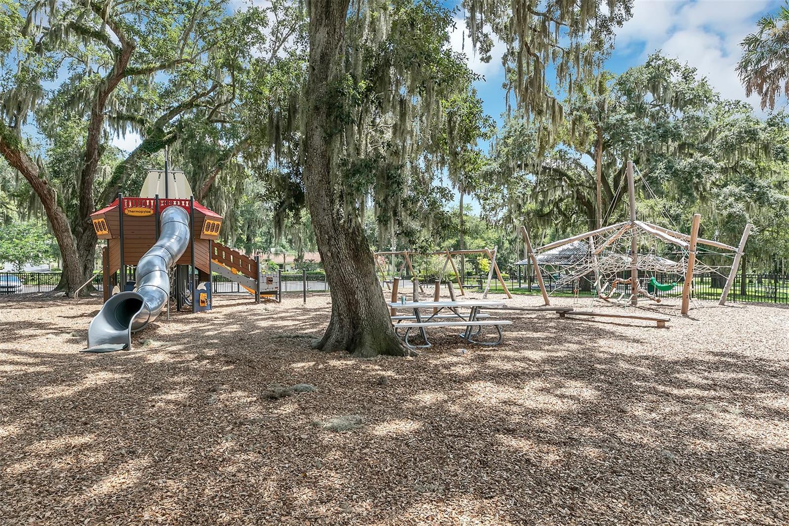 MOUNT DORA - Residential