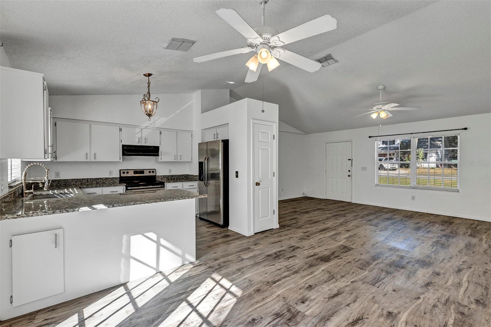 MOUNT DORA - Residential