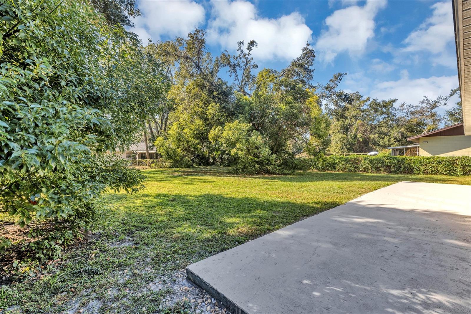 MOUNT DORA - Residential