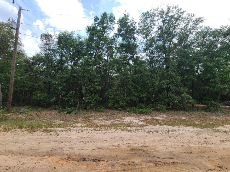 Great location for your home or mobile home. The lot is high and dry and is lightly treed. The area offers numerous lakes for water sports, several parks including Gold Head State Park for exploring and camping, along with trails for bicycling. There is a local airport, nearby golf courses, full time fire station and EMTs, Santa Fe Community College, The Rally International Driving School, and even an Electric Charging Station at City Hall (Keystone Heights). There is a quaint downtown area where residents shop. Several national chain restaurants nearby and bonus local ones. The residents value their community and are active in all areas including schools, sports, churches, library and local events. It is a an easy commute to Palatka, Gainesville and Jacksonville.