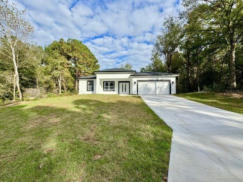 A home in CITRUS SPRINGS