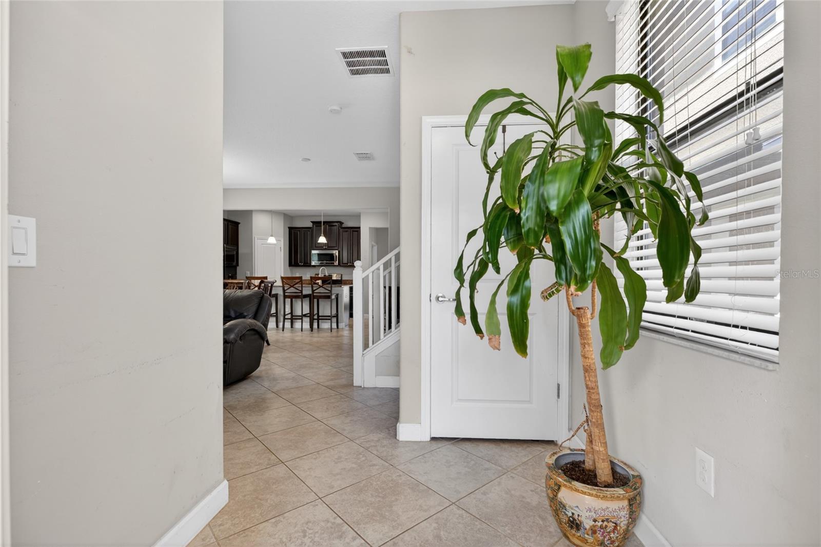 ARBORS/WIREGRASS RANCH - Residential