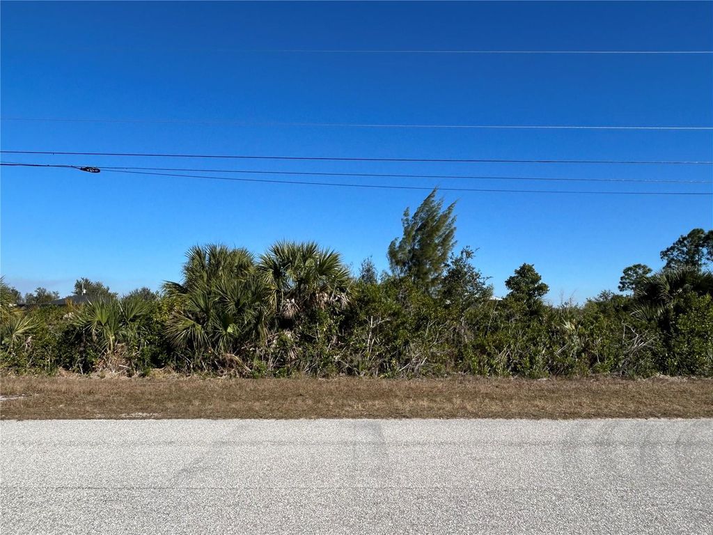 Photo of 10064 Sunday Drive, Port Charlotte, FL 33981 (MLS # D6145718)