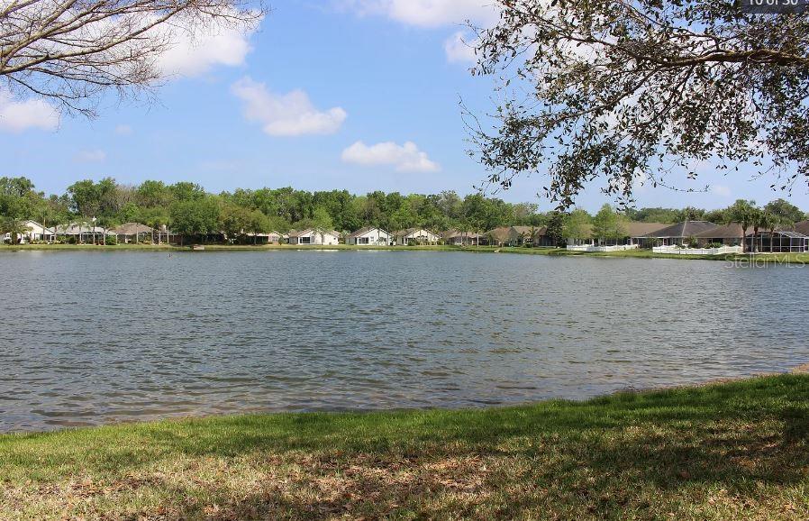 Coral Trace - Residential Lease