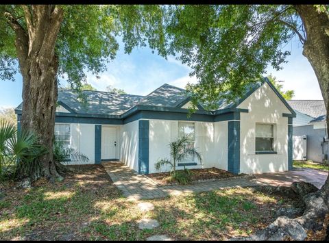 A home in TAMPA