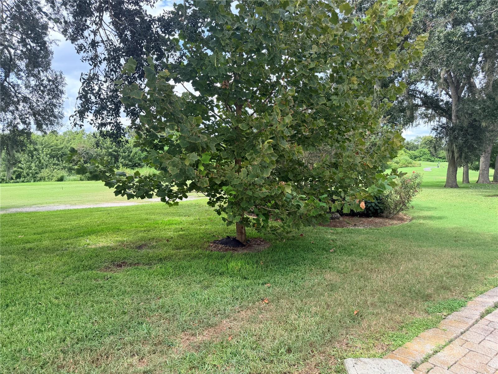 208 GOLF AIRE BOULEVARD