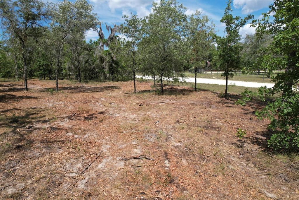 Photo of SE 53rd Lane, Morriston, FL 32668 (MLS # O6410694)
