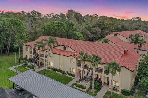 A home in PALM HARBOR