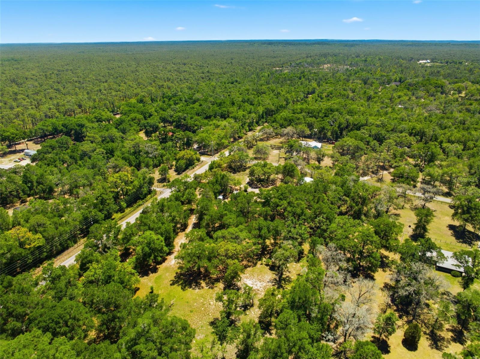 FOREST HILLS - Residential