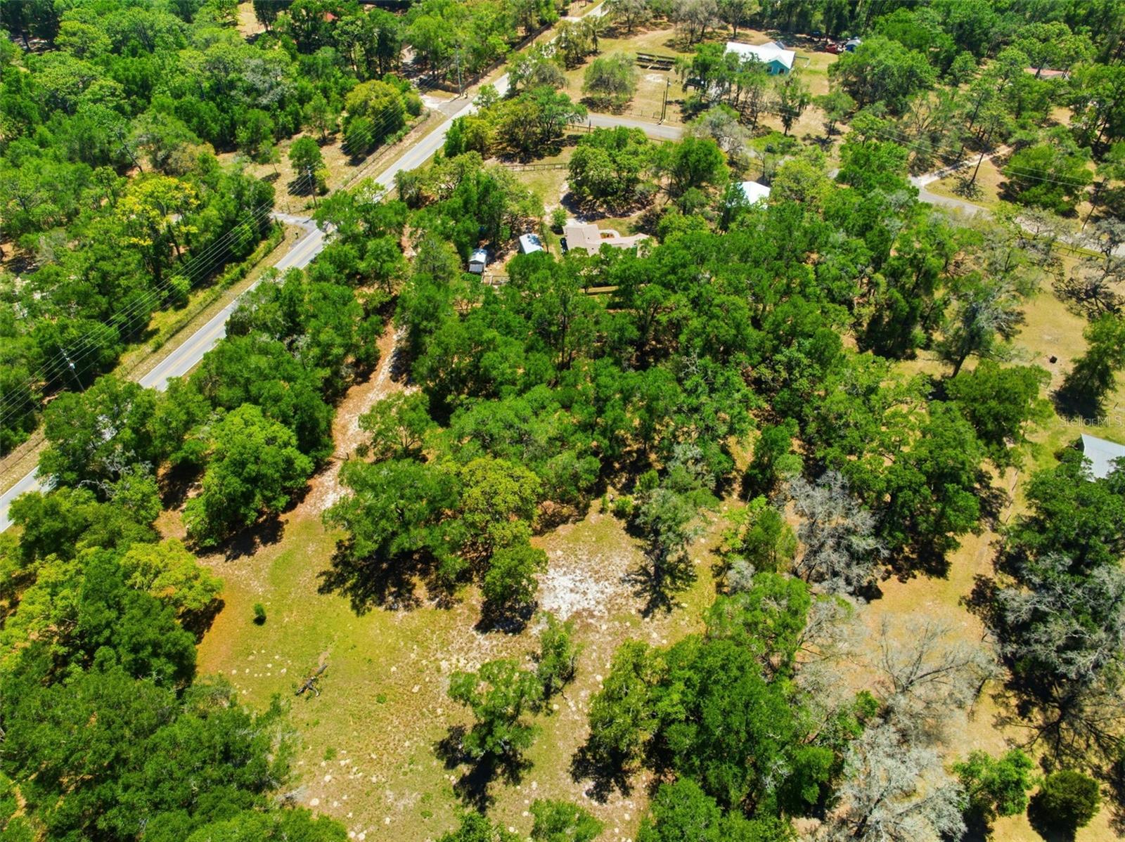 FOREST HILLS - Residential