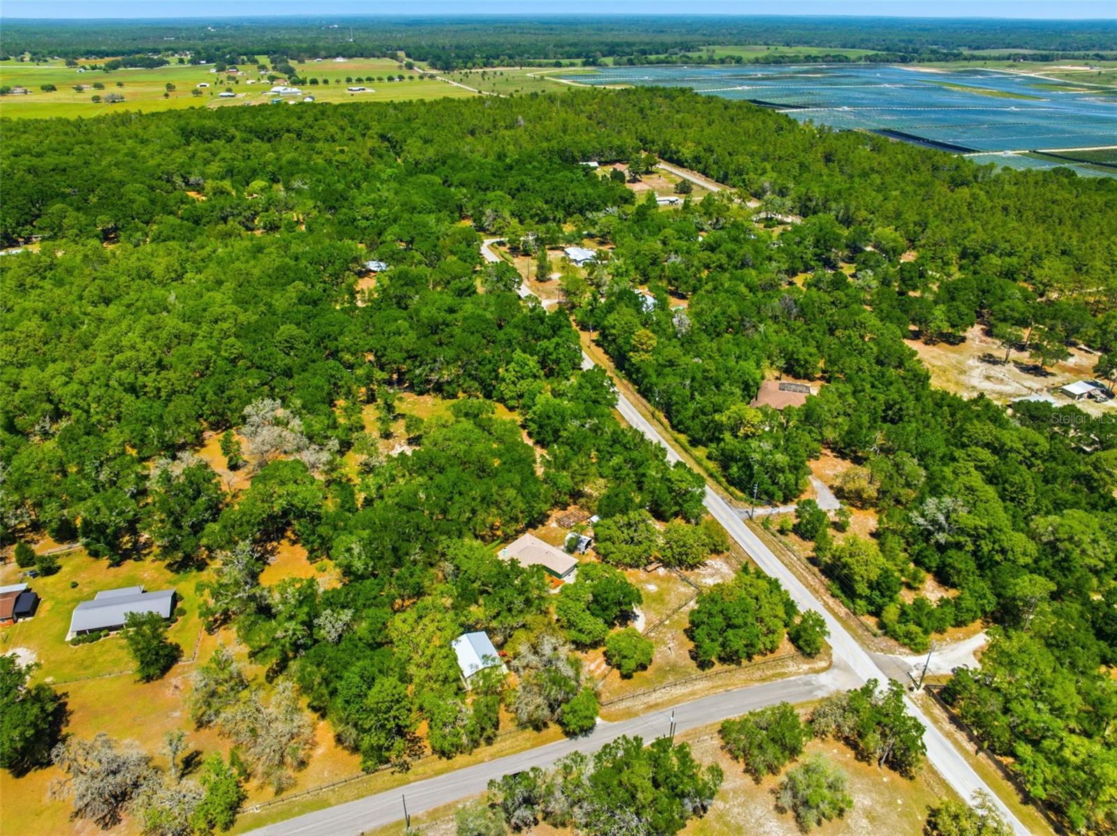 FOREST HILLS - Residential